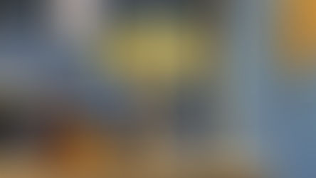 LEGO Botanicals 11502 Sunflower Bouquet Officially Revealed | March 2026