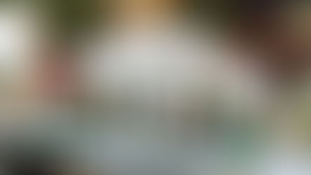 LEGO Ideas 21353 The Botanical Garden Officially Revealed | November 2024