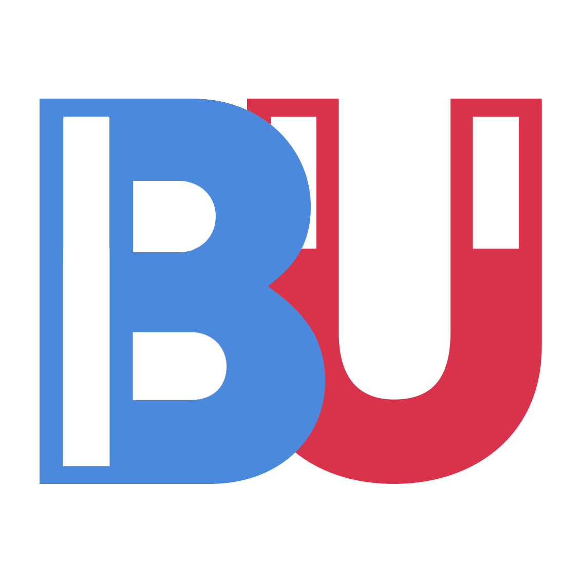 New Bricks Up Logo.png