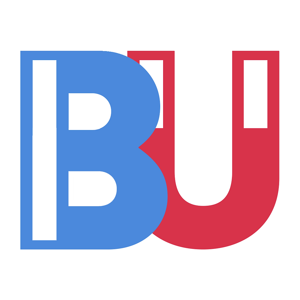 Bricks Up White Outline Logo.png