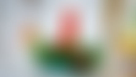 LEGO Christmas Set 40743 Christmas Table Decoration Officially Revealed | September 2024