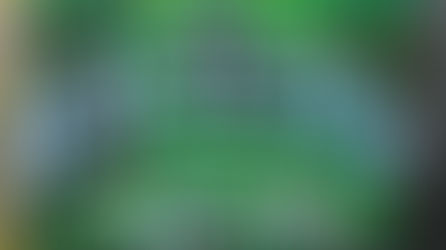 LEGO Art 31220 Monet's Water Lilies Rumoured For March 2026