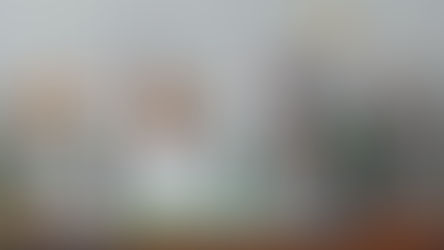 The LEGO Icons Sets Retirement Schedule For 2025-2028