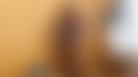 LEGO Star Wars 75371 Chewbacca Officially Revealed | September 2023