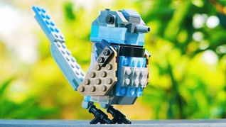 All The Rumoured Information on LEGO Icons 10331 Kingfisher | February 2024