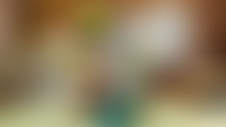 First leaked images of LEGO Shrek 72423 Shrek, Donkey and Puss in Boots 18+ set revealed ahead of June 2026 release