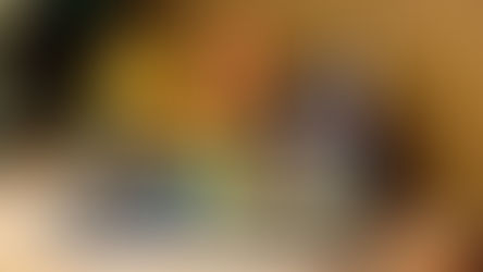 LEGO Icons 11372 Autumn Cottage Garden Officially Revealed | January 2026