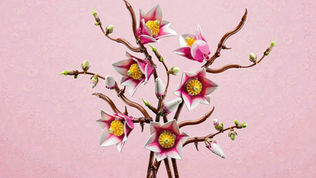 First Leaked Images of LEGO Botanicals 11510 Magnolia Branches | March 2026