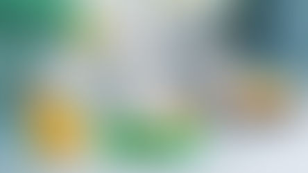 LEGO Easter Set 40808 Easter Bunny and Chick Egg Hunt Officially Revealed | February 2025