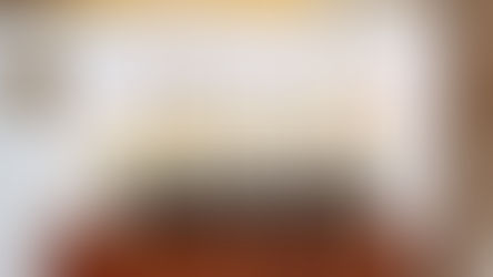 LEGO Icons 10335 The Endurance Officially Revealed | November 2024