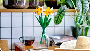 LEGO Icons 40646 Daffodils Officially Revealed | January 2023