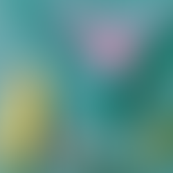 LEGO Art 31211 Macaw Parrots Officially Revealed | January 2024
