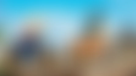 Rumoured first images of LEGO Icons 11380 Road Bike set for June 2026