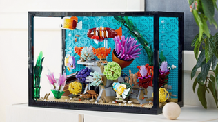 LEGO Icons 10366 Tropical Aquarium Officially Revealed | November 2025