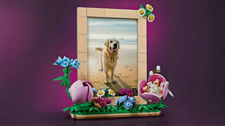 LEGO Botanicals 40916 Floral Picture Frame GWP Officially Revealed | 9th March 2026