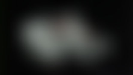 LEGO Star Wars 30708 Millennium Falcon Polybag Officially Revealed | March 2025