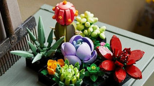 LEGO Icons Botanical Collection 10370 Poinsettia Rumoured For October 2024