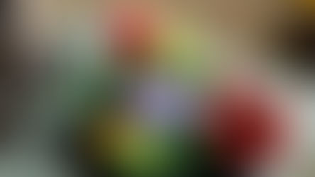 LEGO Icons Botanical Collection 10370 Poinsettia Rumoured For October 2024