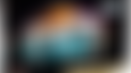 LEGO For Adults 10279 Volkswagen T2 Camper Van Officially Revealed