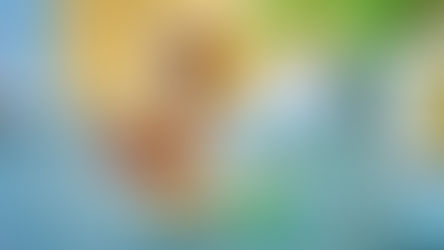 LEGO Creator 40885 Duck Family GWP Rumoured For 16th February 2026