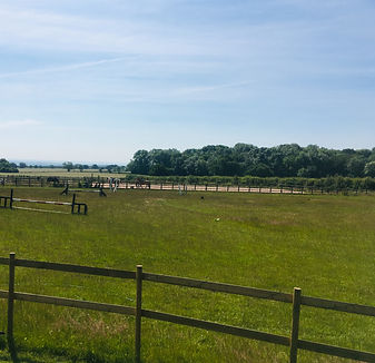 paddock view from hut.jpeg