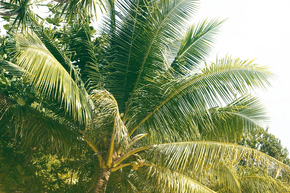 AdobeStock_164221546 (1).jpeg