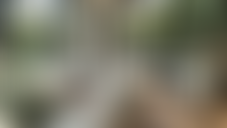 Coherencia entre diseño y operación hotelera