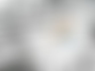 Attribution Maze - Online-to-Offline
