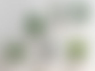Bàn làm việc cá nhân: Phản ánh cá nhân hóa của bạn