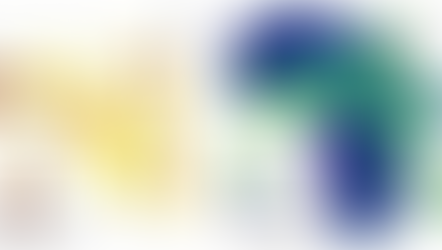 Geostatistics & Spatial Predictions