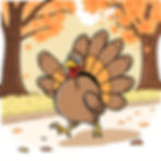 Turkey Trot