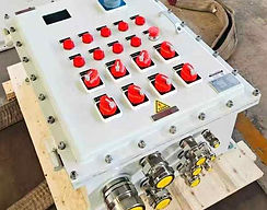 ATEX/IECEx certified explosion-proof control box built for oil & gas environments.
