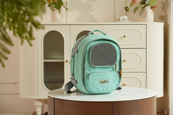 Light green pet travel backpack with gray straps from Weimiao’s Meow Journey Series.
