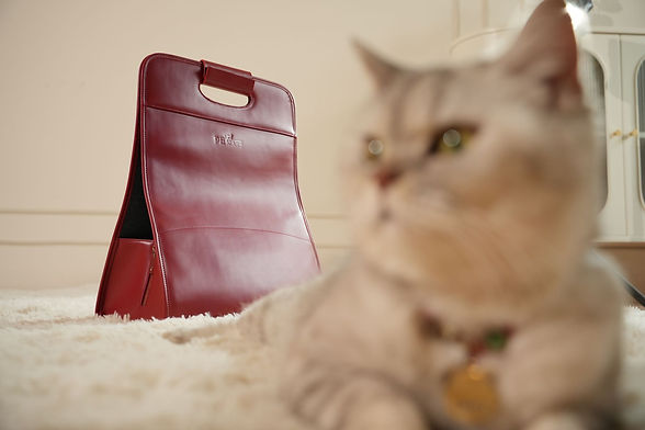 Red pet travel tote with gold zipper and structured silhouette from Weimiao’s Preference Series.