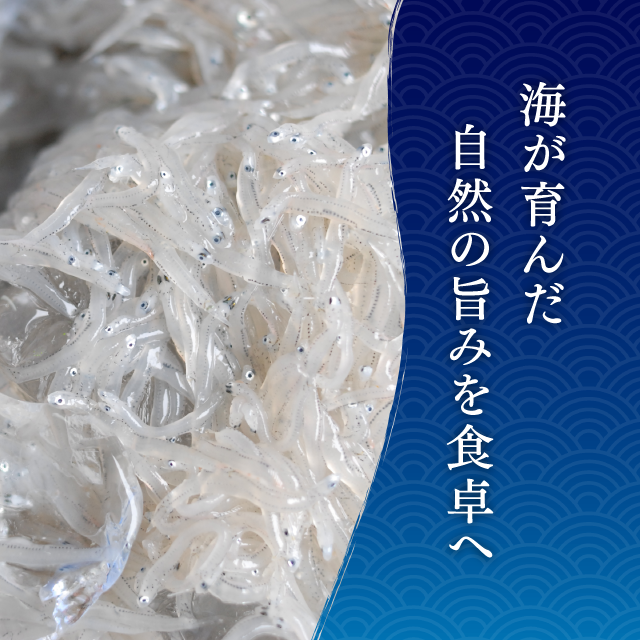 しらす 株式会社じゃこ丸海産 さぬき市