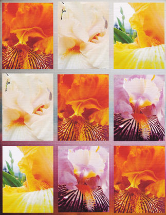 Words of Inspiration and Hope Note cards Photographer Brian Sapere