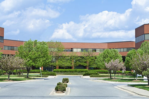Commercial-Tree-Service-image-1024x683.j