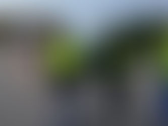 À Nîmes, les blocages des gilets jaunes menacent les PME de la zone industrielle St Césaire