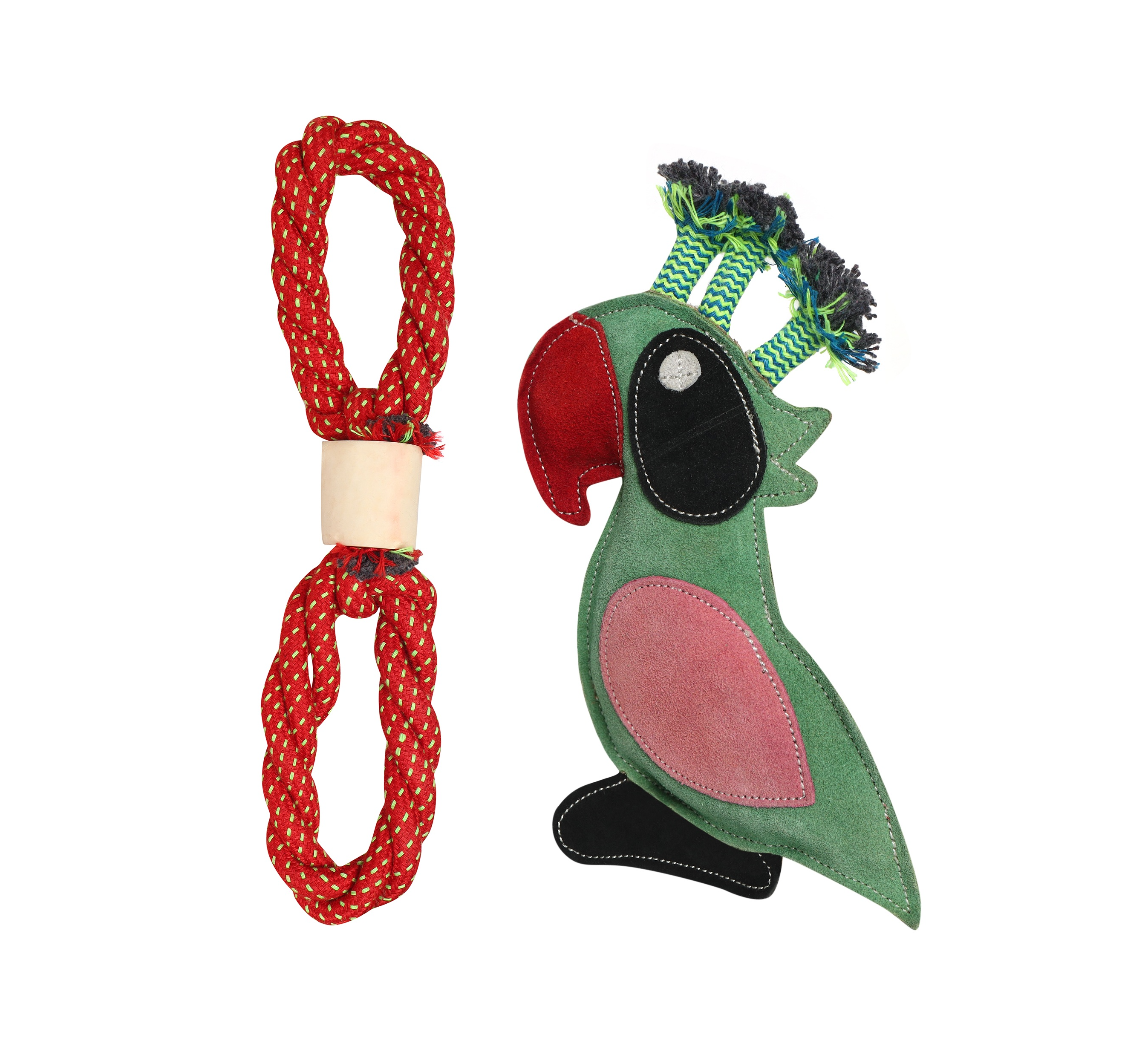 Rope Ribbon with Bone & Parrot with Rope Dog Toy Combo | Interactive Chew & Tug