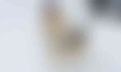 Прогулка на собачьих упряжках Буковель / Прогулянка на собачих упряжках Буковель / Dog sledding Bukovel / تزلج الكلب Bukovel