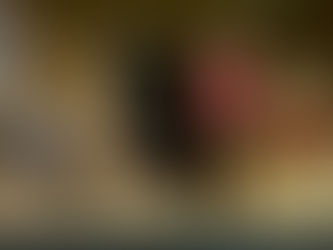 The Beekeeper of Aleppo: powerful & moving