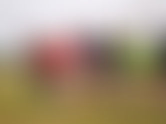 Runners raise big total for charity