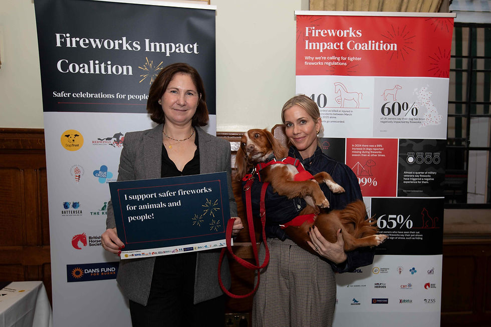 Cardiff North MP attends fireworks-concern event