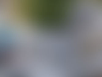 Thornhill Cemetery wins silver award