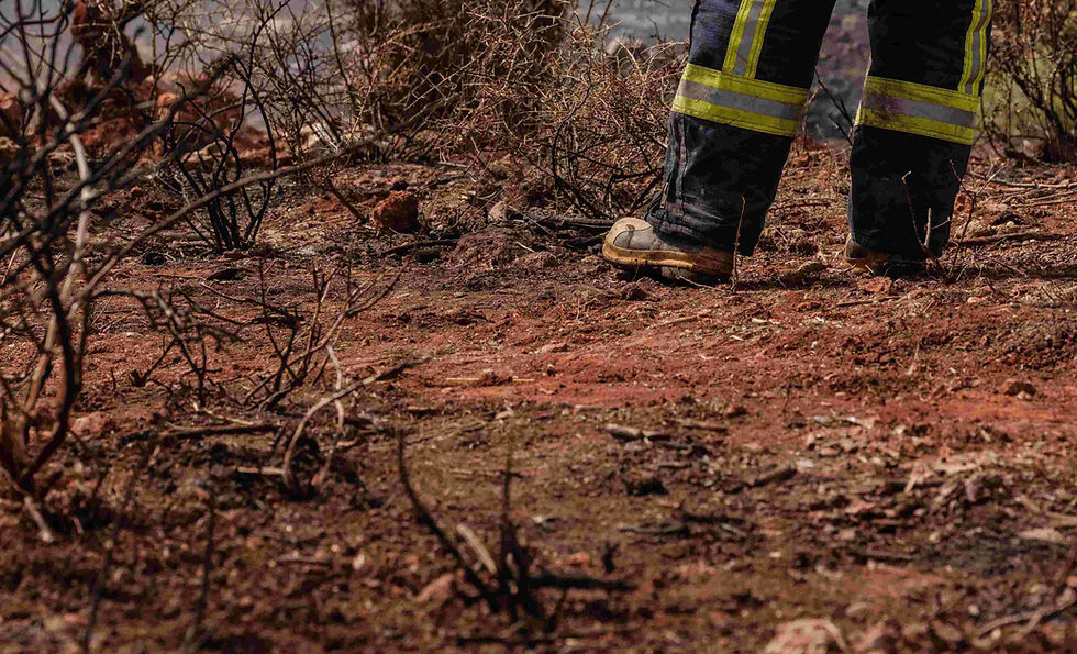 Rhiwbina's night-time smell was a distant wildfire