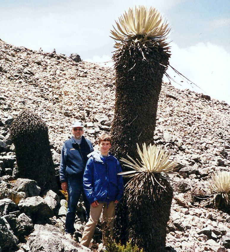 Frailejones gigantes