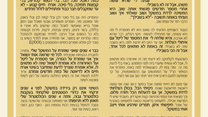 גילית מספרת על תכנית איזון משקל