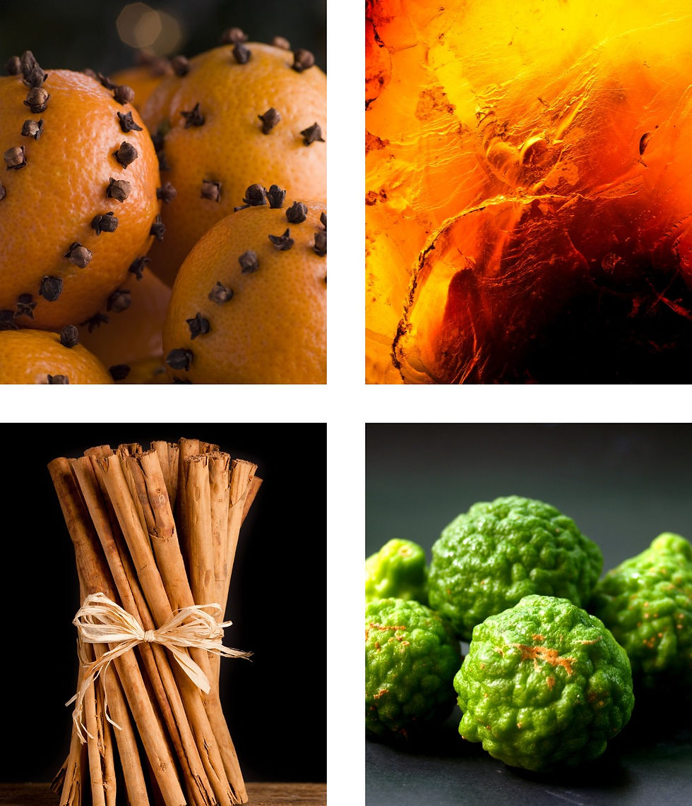 Spiced Orange | Extrait de Parfum