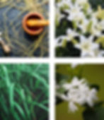 Jasmine & Lily Reed Diffuser Refill
