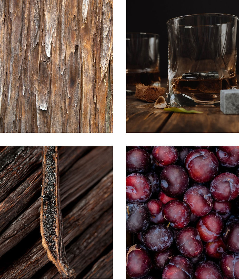 Davana Vanille Noir | Extrait de Parfum